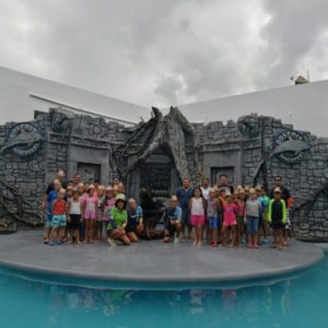 Actividades educativas para celebrar el día del lobo marino