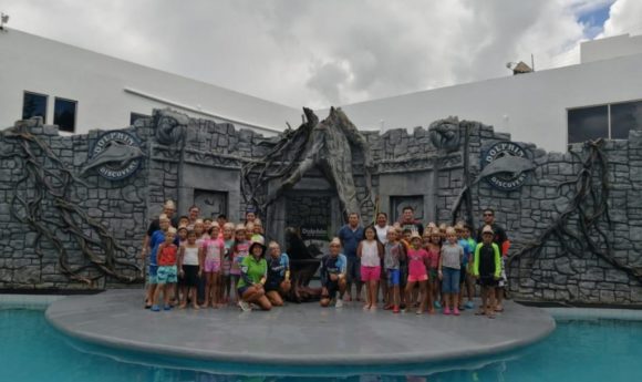 Actividades educativas para celebrar el día del lobo marino