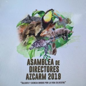 Asamblea de Directores AZCARM 2019